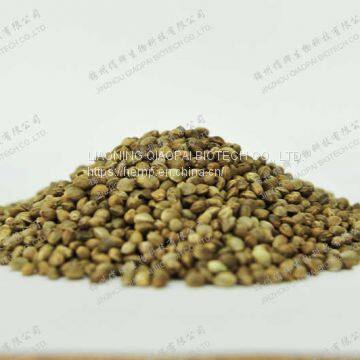 organic  hemp seed