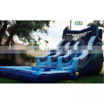 Dolphin Jumping Cartoon Inflatable Water Above Ground Bouncer Crazy Slide for Kids on Sale