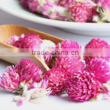 Gomphrena globosa tea,Flower tea,Herbal buds tea