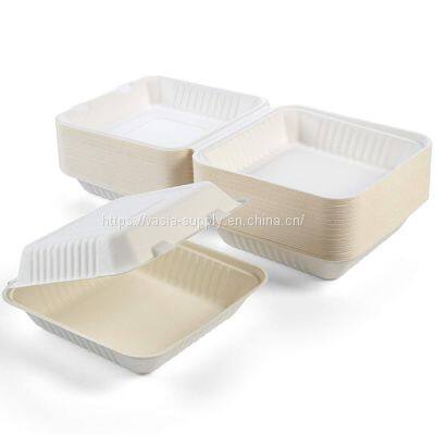 Wholesale Hot sale Pack of 200 Sugar Cane Bagasse 8 inch (20cm) Fast Food Boxes with Hinged Lid