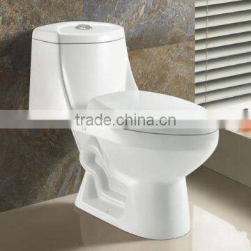 Sanitary Ware European One Piece Water Closet Toilet photo-3