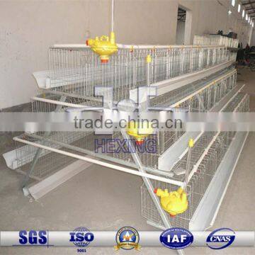A Type Automatic Chick Cages