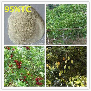 Good Product Pgr Paclobutrazol 95%TC Powder for Fruit in Agriculture Cas 76738-62-0 photo-3