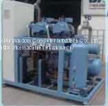 Food Processing Flake Ice Machine