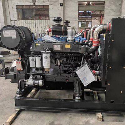 Genuine  Water Cooled WEICHAI WP10B325E200 diesel Engine Assy for Pump Water Intake