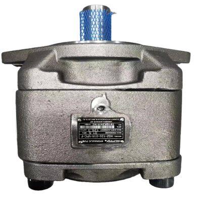 Garantie commerciale Sunny HG0 HG1 HG2 Séries Pompe hydraulique à engrenages haute pression HG2-160-01R-VPC-36-1