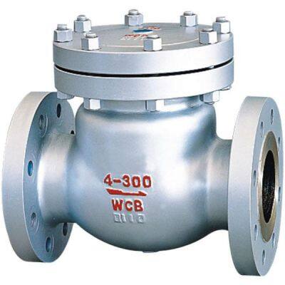 High Pressure 304 316 Stainless Steel NPT Threaded /Flange Spring and Swing Check Valve Non Return Valve photo-3