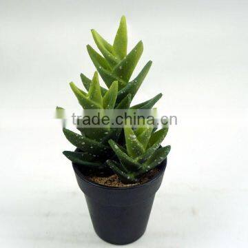 7.5 inch PE Foam Material Artificial Succulents Cactus With Three Branchs