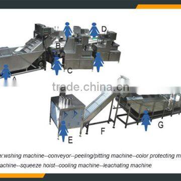 Pitaya Production Line