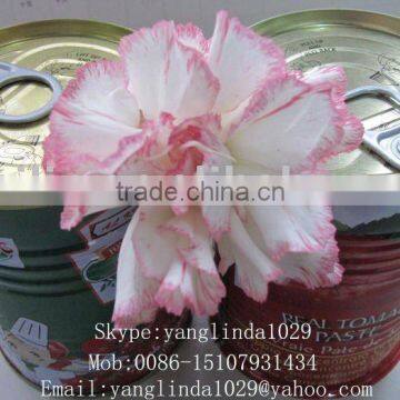 Sell 850gm canned tomato paste