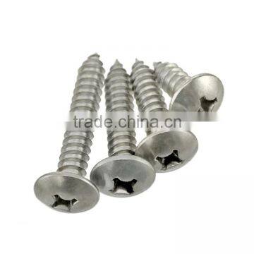 Stainless Steel Cross Flat Head Tapping Screw Thumb Head Tapping Screw photo-5