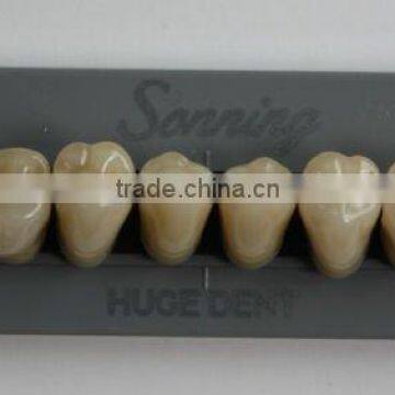 Huge Dental Sonning Full Set Acrylic Denture Teeth photo-6