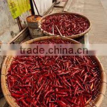 Fresh Chilli/ Red Chilli - BEST PRICE & NEW CROP