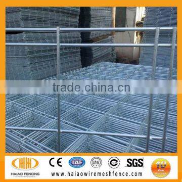 (China anping manufacture) 1/4 inch galvanized welded wire mesh