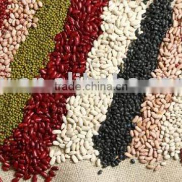 Various Speckled Kidney Beans