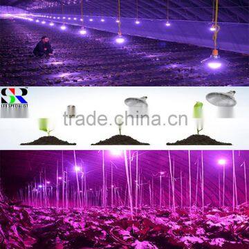 Best Selling Low and High Watt Power Par20 Par30 Par38 Global Bulb Led Plant Grow Light Red Plus Blue Full Spectrum Grow Light
