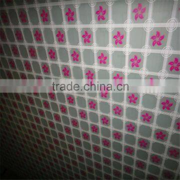 2015 China Supplier Silkscreen Printing Glass photo-2
