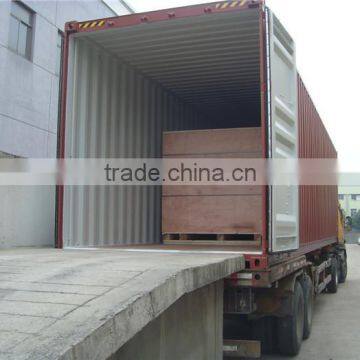 Painting China Carbon Frame photo-6