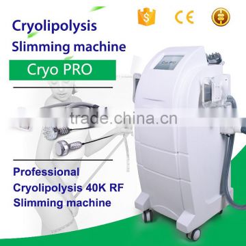 Hottest Multifunction Body Slimming fat freezing Slimming cryolipolysis freezing for salon use