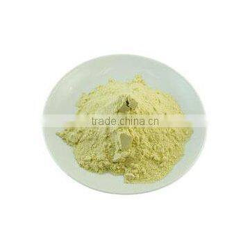 Spray Dried Guava Powder