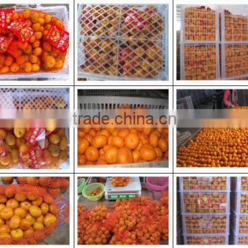 2012 nanfeng baby mandarin