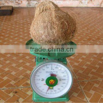 Dry Coconut