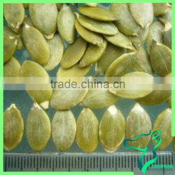 China Origin Dry Pumpkin Seed Kernel