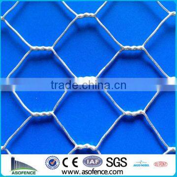 Steel Hexagonal Wire Mesh(Anping A.S.O Factory)