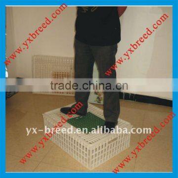 Hot selling plastic broiler crate