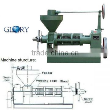 Hot sale Automatic mini Oil Press