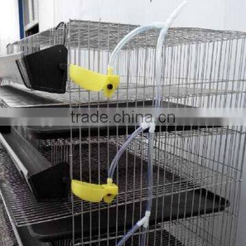 Layer Assemble Quail Cage With Assembling Tools For Sale photo-3