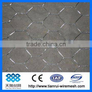 Chicken wire/ Hexagonal wire netting