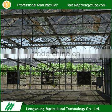 2017 New style stable structure climate control greenhouse glass used