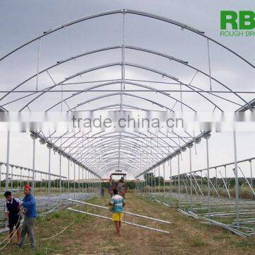 Vegetable Commercial Film Low Cost Greenhouse Multi Span High Quality for Agriculture photo-6