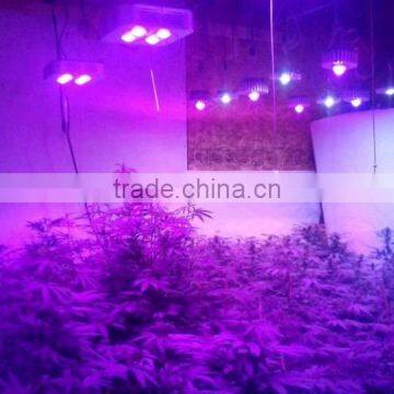 High Quality Hydroponic Solution of Indoor Grow Lights for Vegetables by Manufacturer and Supplier photo-3