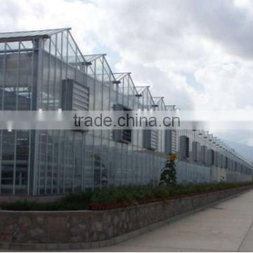 China Multi-Span Agricultural glass Greenhouse For Vegetable