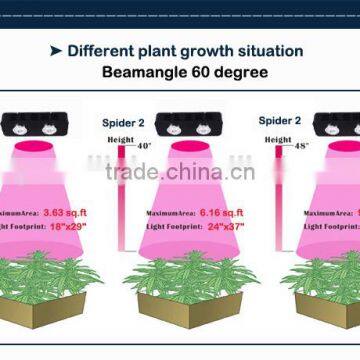 Professional Manufacturer 180W High Power Led Grow Light for Medical Plants Hydroponic System COB Led Grow Light photo-6