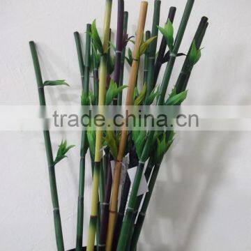 Spiral Lucky Bamboo Pole/dracaena Wandering, Decorative Bamboo Plant photo-2