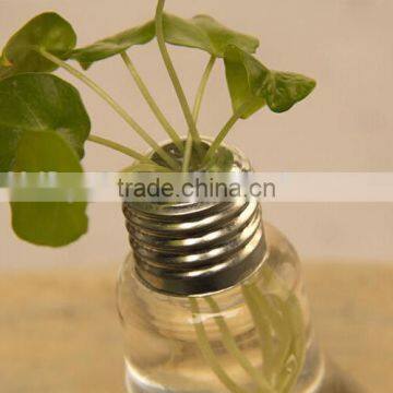 Mini Unique Bulb Light Shape Glass Vase photo-2