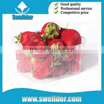 OEM blister strawberry plastic tray