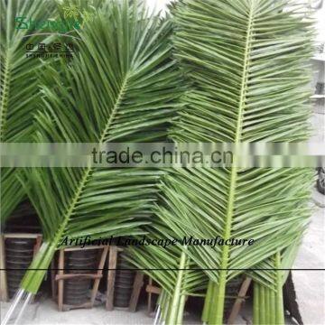 SJZJN 111 Big Amazing Balm Tree Leaves/High Imitation Palm Tree Leaves Made in China Hot Sale photo-3
