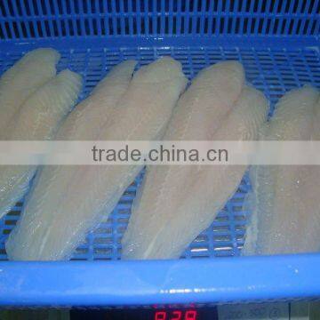 FRESH FROZEN WELL TRIMMED PANGASIUS WHITE FILLET OF ALO SEAFOOD CO.,