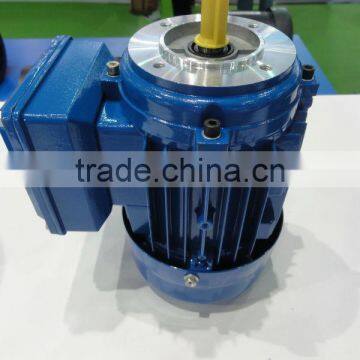 3KW Three Phase IE2 Electric Motor with CE