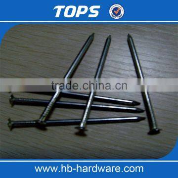 Concrete Nails Common Nail Iron Nail Factory photo-3