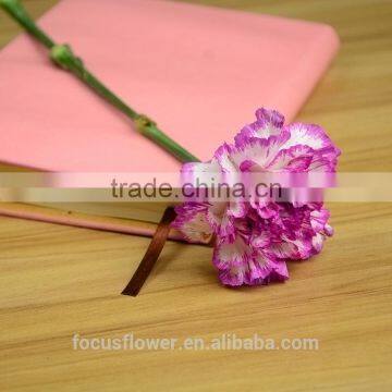 clean building decoration carnation for decoration