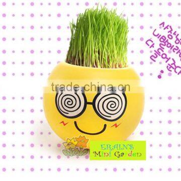 Mini Garden Growing Grass Hair Toy Growing Grass Head Toys 002-2(ceramic Colour Glaze) photo-6