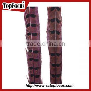 High Quality for Showgirl Carnival Costume Ringneck Tail Pheasant Feathers photo-2