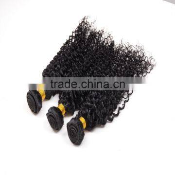 Free Sample Hair Bundles,2016 Hottest Virgin Mongolian Kinky Curly Hair photo-3