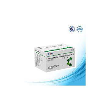 Elisa Microalbuminuria kit for chemiluminescence analyzer