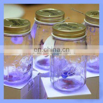 Factory Direct Sell Popular Attractive Butterfly Glass Jars